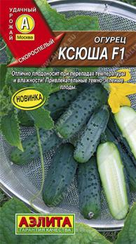 Огурец Ксюша F1 /10с скороспел,партенок