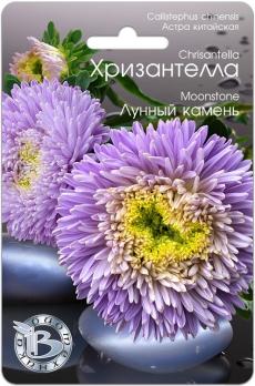 АКЦИЯ!!! Астра Хризантелла Лунный Камень 30шт китайская /однолетник/12.26