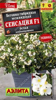 Бегония Сенсация F1 Белая зеленолистная гибридн.межвидов /однолетник 