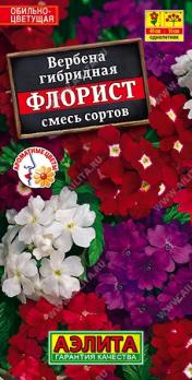 Вербена Флорист 40шт смесь сортов гибридная /однолетник