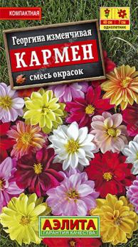 Георгина Кармен Смесь Окрасок 10шт изменчивая /однолетник