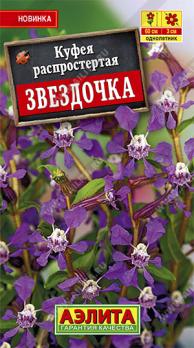 Куфея Звездочка распростертая /однолетник