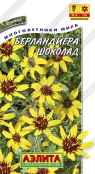 Берландиера Шоколад ароматная 5шт. /многолетник