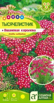 Тысячелистник Вишневая Королева 0,1 гр. многолетник