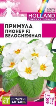 Примула Пионер Белоснежная 5шт (Голландия) /многолетник