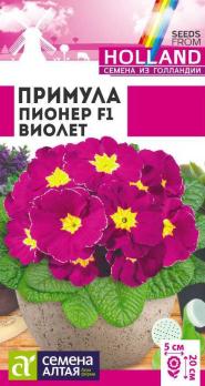 Примула Пионер Виолет 5шт (Голландия) /двулетник 