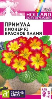 Примула Пионер Красное Пламя 5шт крупноцвет (Голландия) /двулетник