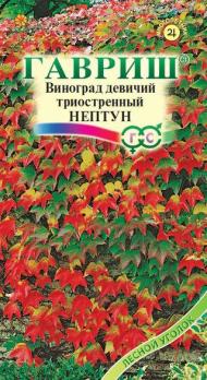 Виноград триостренный Нептун 5 шт.