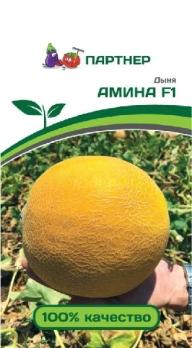 Дыня АМИНА F1 /5шт раннеспел