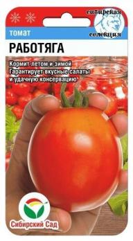 Томат Работяга 20шт Сибирская сел./детерминантный урожайный