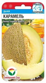 Дыня Карамель 7шт среднеспел