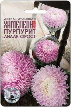 Астра Хамелеон SELECT Пурпурит Лилак Фрост 30шт китайская /однолетник
