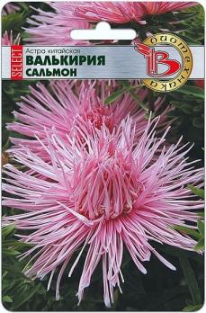 Астра Валькирия SELECT Сальмон 30шт китайская /однолетник