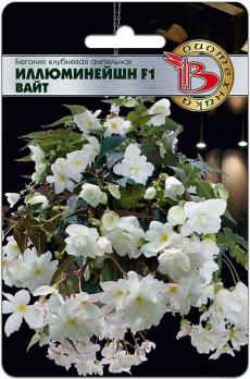 Бегония Иллюминейшн F1 Вайт 8шт клубневая ампельная /однолетник
