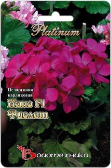 Пеларгония Нано F1 Виолет 5шт карликовая /комнатные