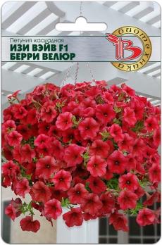 Петуния Изи Вэйв F1 Берри Велюр 5шт каскадная /однолетник