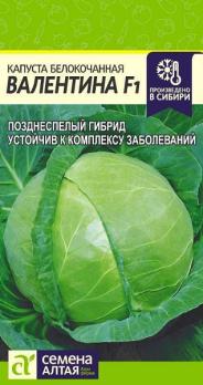 Капуста б/к Валентина F1 /0,1гр позднеспел