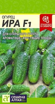 Огурец Ира F1 /10шт раннеспел,пчелоопыл