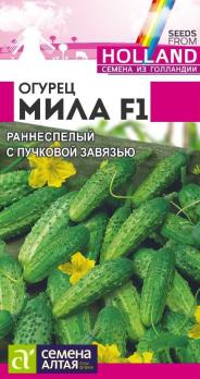 Огурец Мила F1 /5шт очень ранний Seminis (Голландия)