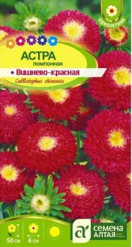Астра помпонная Вишнево-Красная 0,2гр Н50см /однолетник