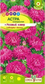Астра Розовый Ковер низкорослая 0,3гр Н25см /однолетник