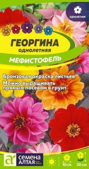 Георгина Мефистофель 0,2гр Н50см /однолетник