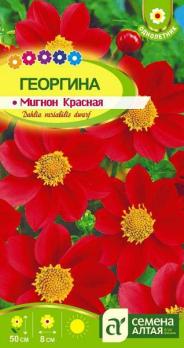 Георгина Мигнон Красная 0,2гр Н50см/ однолетник