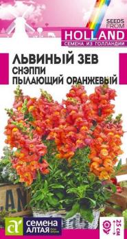 Львиный зев Снэппи Пылающий Оранжевый 10шт (драже в пробирке) Н25см (Голландия) /однолетник