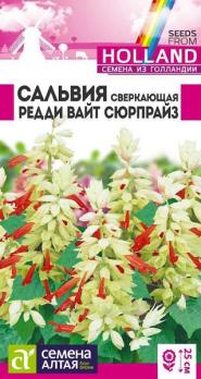 Сальвия Редди Вайт Сюрпрайз сверкающая 5шт Н25см (Голландия) /однолетник