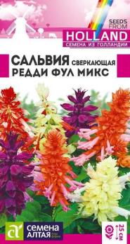 Сальвия Редди Фулл Микс сверкающая 5шт Н25см (Голландия) /однолетник