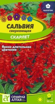 Сальвия Скарлет сверкающая 0,1гр Н30см /однолетник