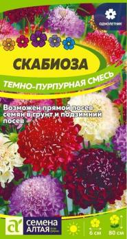 Скабиоза Темно-Пурпурная Смесь 0,2гр Н80см /однолетник