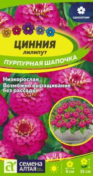 Цинния лилипут Пурпурная Шапочка 0,3гр /однолетник