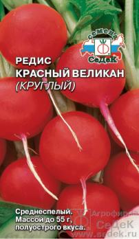 Редис Красный Великан Круглый 6м (ЛЕНТА) среднеспел