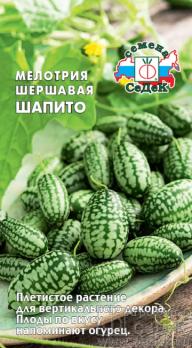 Мелотрия Шапито шершавая (арбуз мексисканский мини) 