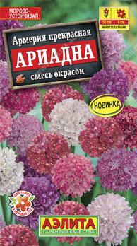 Армерия Ариадна, смесь окрасок 0,03гр Н50см /многолетник