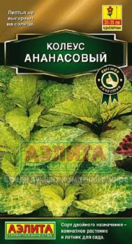Колеус Блюме Ананасовый 10шт сел.PanAmerican Seed Золотая сер /однолетник
