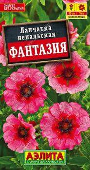 Лапчатка Фантазия 30шт непальская /многолетник