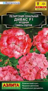Пеларгония Дивас Ягодная F1 3шт смесь сортов Золотая серия /многолетник