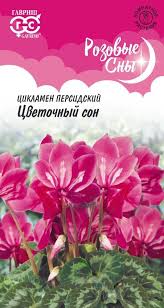 Цикламен Цветочный Сон 3шт сер.Розовые сны /комнатные