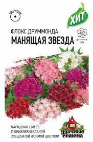 Флокс друммонда Манящая Звезда 0,05гр сер.ХИТ х3 /однолетник