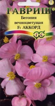 Бегония Аккорд F1 вечноцветущая 5шт (драже в пробирке) /комнатные