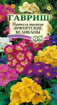 Примула Эрфуртские Великаны 20шт /многолетник
