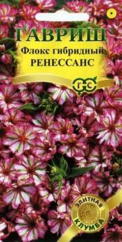 Флокс Ренессанс гибридный 8шт сер.Элитная клумба /однолетник
