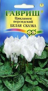 Цикламен персидский Белая Сказка 3шт /комнатные