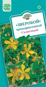 Зверобой Солнечный продырявленный 0,1гр сер.Лекарственные огород