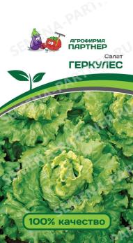 Салат Геркулес 0,5гр листовой среднеранний 