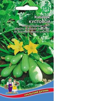 Кабачок цук Кустовой 10шт раннеспелый 
