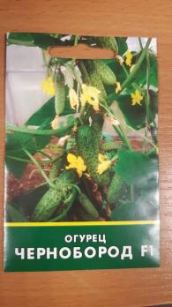 Огурец Чернобород F1 /8шт (улучшен.Скиф) /скороспел