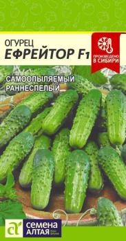 Огурец Ефрейтор F1 /5шт раннеспел, партенок